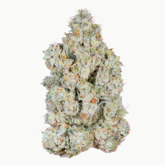 Alien Labs - Dark Web Indoor - 3.5g - 1