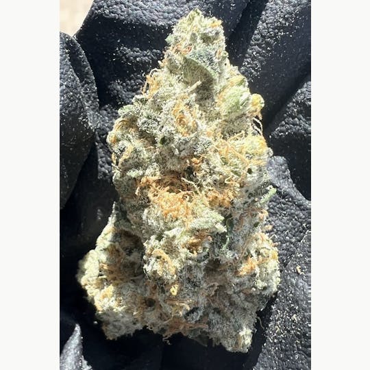 Flower Bomb - Bapple Fritz - 1