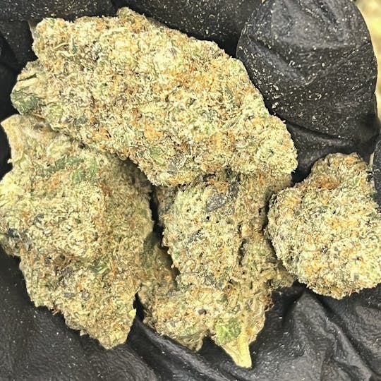 Flower Bomb - Red Velvet Runtz - 1