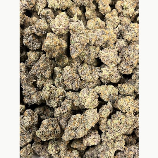 Flower Bomb - Jealousy - 1