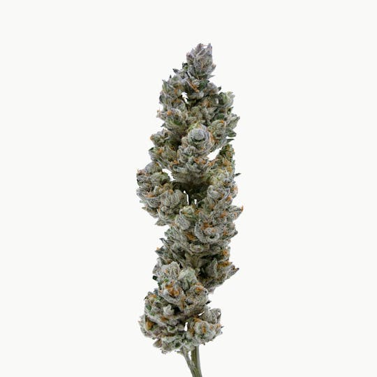 Method - Cosmic Crisp — Popcorn - 1