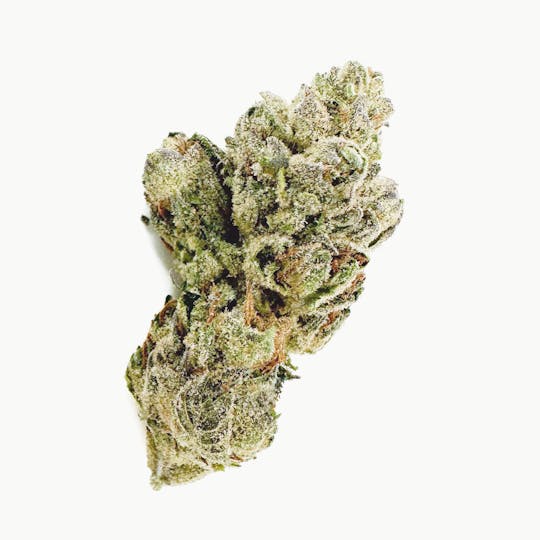 Henry's Original - Pouch Flower- Super Glue - 1