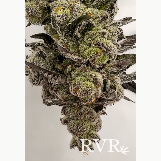 River Valley Relief - Mai Tai #4 Hybrid Flower 3.5g Jar - 1
