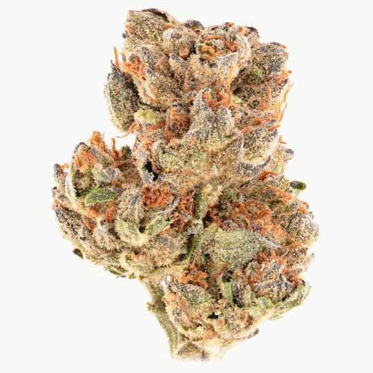 Hype Train - Tropical Zkittlez - 1