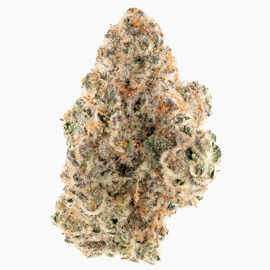Quality Over Quantity - Cap Junky - 1