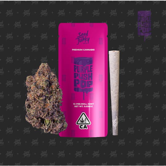 Seed Junky - Purple Push Pop (1G Pre-Roll) - 1