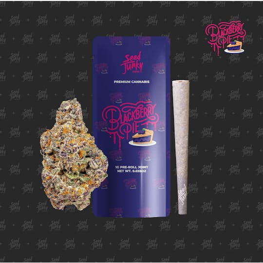 Seed Junky - BLACKBERRY PIE (1G Pre-Roll) - 1