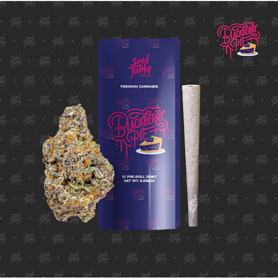 Seed Junky - Seed Junky | Blackberry Pie | Joint | 1g - 1