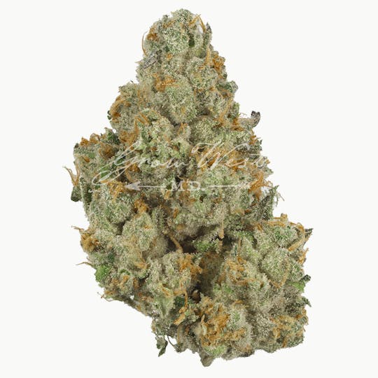Grow West Cannabis Company - Member Berry | Premium | Hand-Trimmed Flower - 1