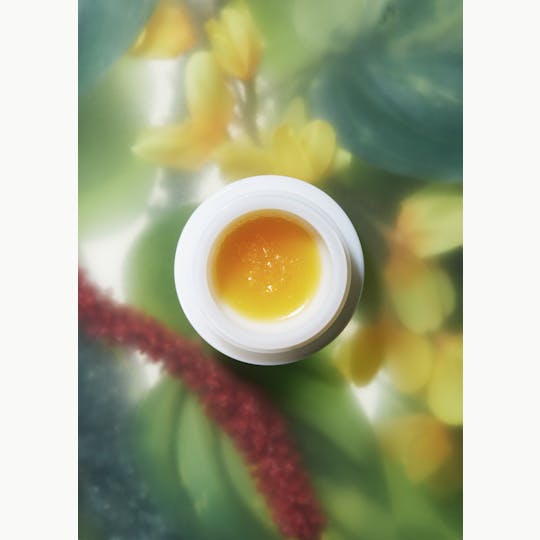 Sano Gardens - Sano Gardens | Aqua Live Resin Whip - 1