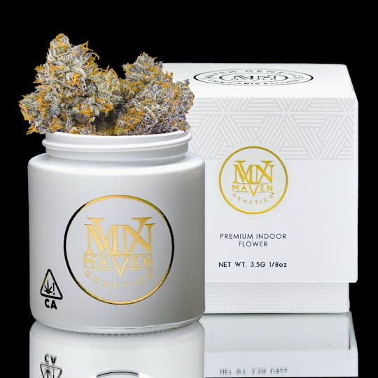 Maven Genetics - Orange Bellini - 1