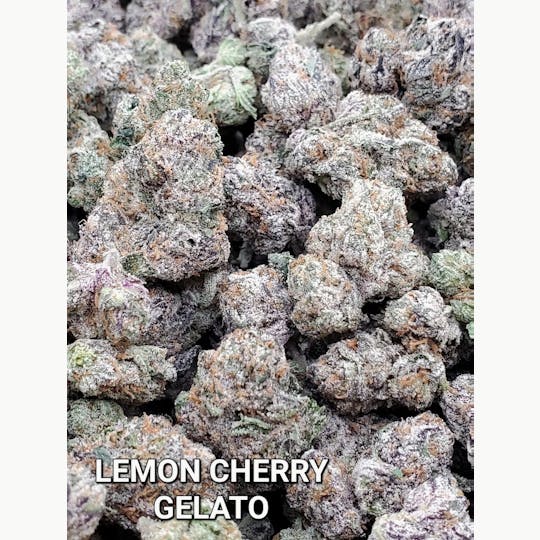 The Fence - Lemon Cherry Gelato - 1