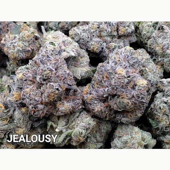 The Fence - Jealousy - 1