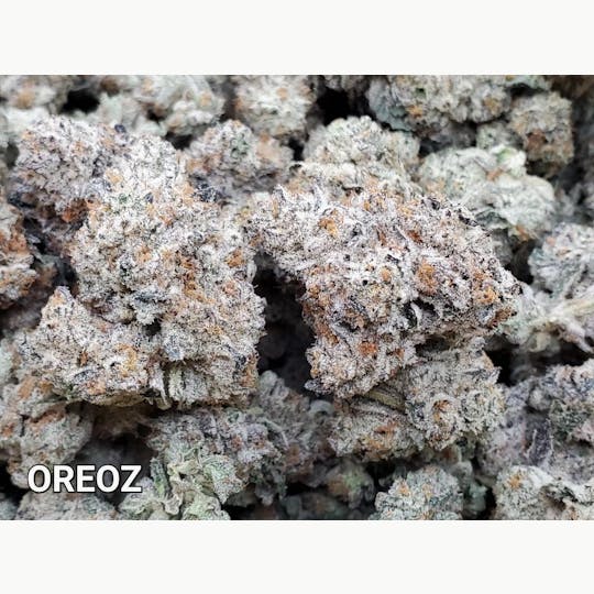 The Fence - Oreoz - 1