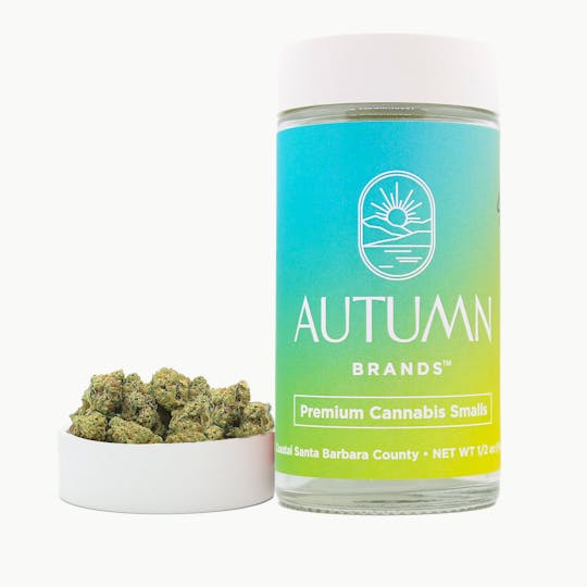 Autumn Brands - Jet Fuel Gelato Premium Smalls 14 Grams - 1