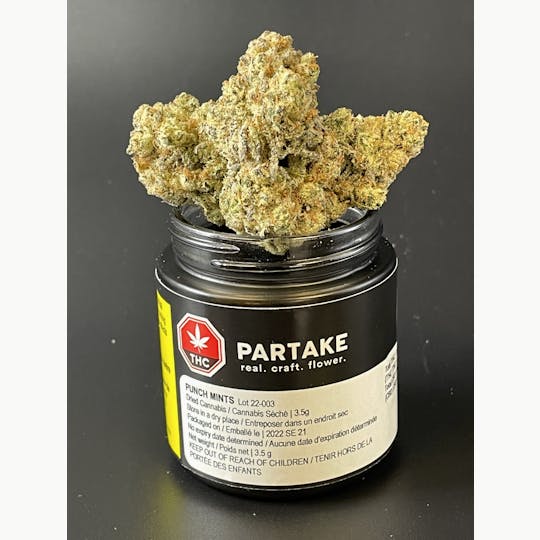 Partake Cannabis - Punch Mints 3.5gr Flower - 1