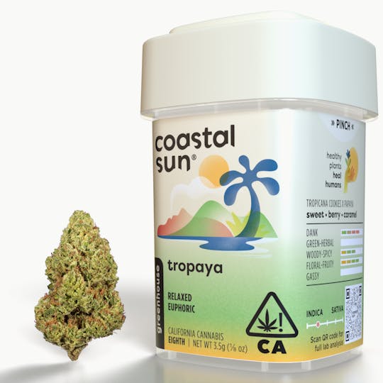 Coastal Sun - Tropaya Greenhouse Flower 3.5g - 1