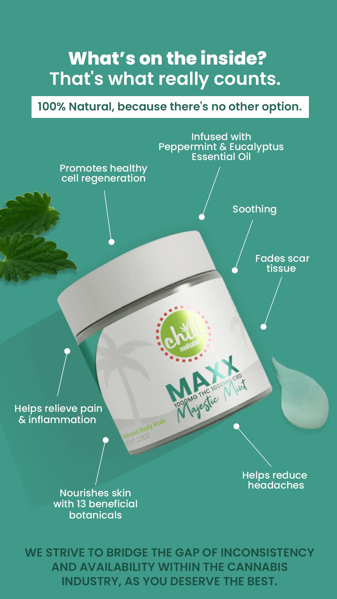 Chill Medicated - 1000mg THC : 1000mg CBD | MAXX Majestic Mint Body Rub | REC - 1