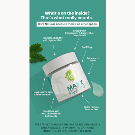 Chill Medicated - 1000mg THC : 1000mg CBD | MAXX Majestic Mint Body Rub | REC - 1