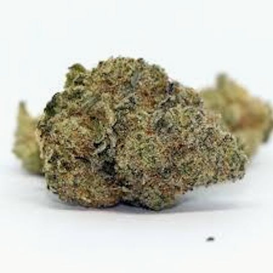 Cannafeen - KUSH KRASHER - 1