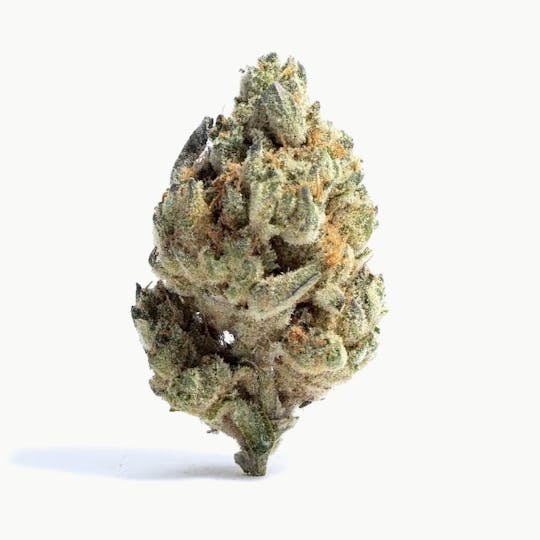 Primitiv - ICC x Kush Mints | 3.5g Flower - 1