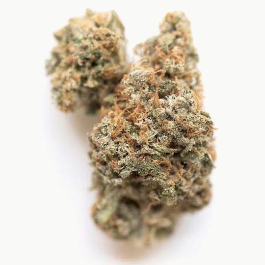 Primitiv - Georgia Pie | 3.5g Flower - 1