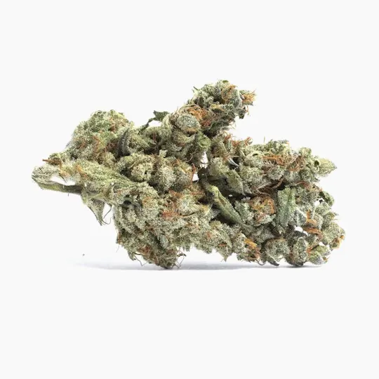 Primitiv - Blueberry Cookies | 3.5g Flower - 1