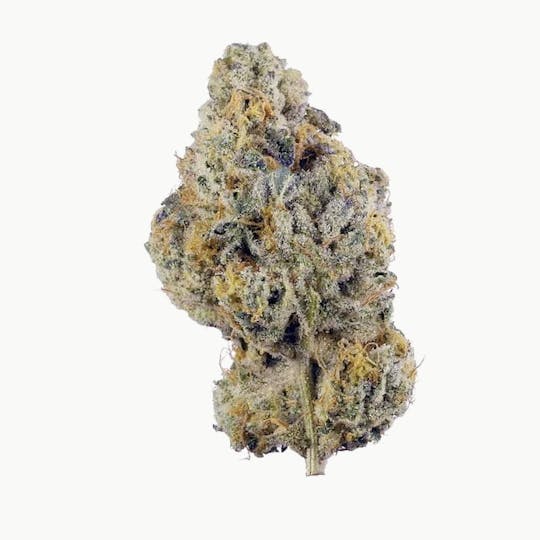 Primitiv - Wedding Cake | 3.5g Flower - 1