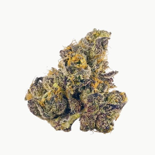 Primitiv - Crescendo | 3.5g Flower - 1