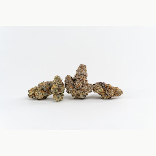 Game Day - Jealousy x Kush Mints (3.5g) - 1