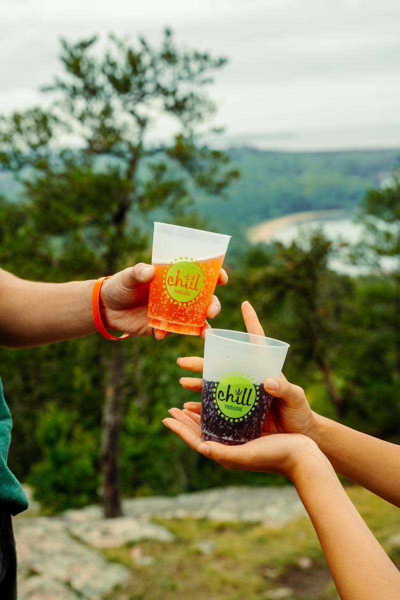 Chill Medicated - Watermelon | 500mg THC Syrup Tincture | Chill Medicated | REC - 1