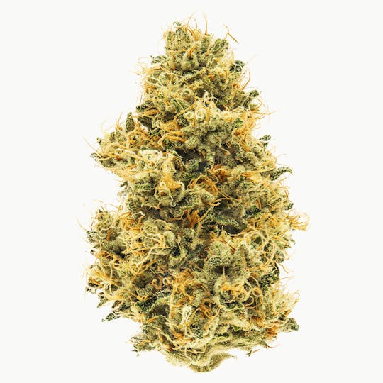Northern Emeralds - Emerald OG - 1
