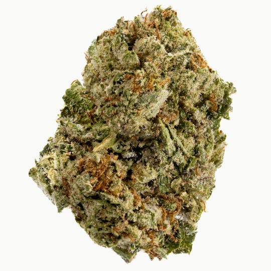West Coast Cure - Tropical Zlushie - 14G Premium Flower - 1