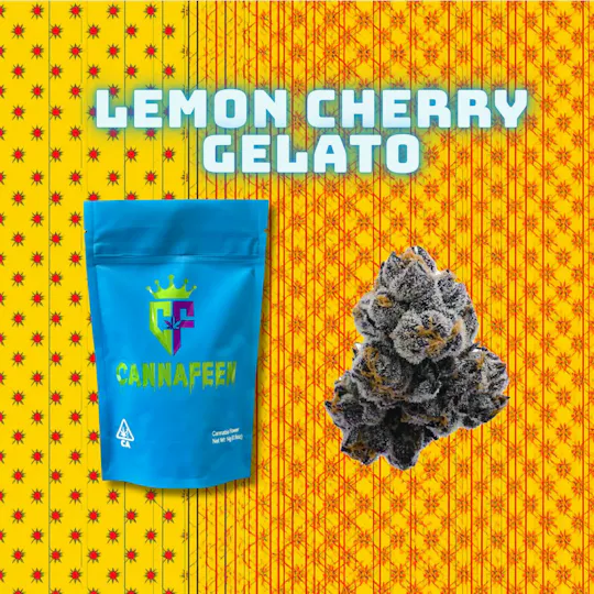 Cannafeen - Cannafeen | Lemon Cherry Gelato | Big Buds | 14g - 1