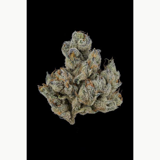 Clade9 - Diamond Bar Flower 1/8 - 1