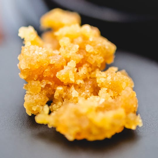 Cultivate Leicester Inc - Chocolate Bananas Hybrid Sugar Wax 1g - 1