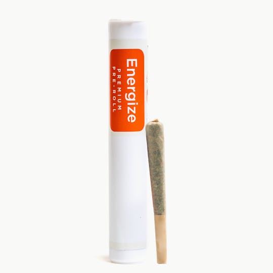 Cultivate Leicester Inc - White Nightmare Sativa Pre-Roll 0.5g - 1