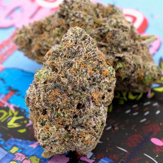 TEDS BUDZ - Teds Budz | Tokyo Gumdrop | 3.5g - 1