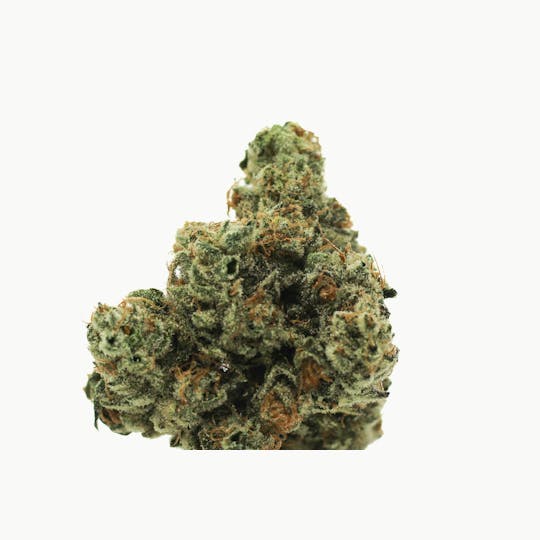 Rugged Roots - Rugged Roots - Papaya Fuel 3.5g Flower - 1