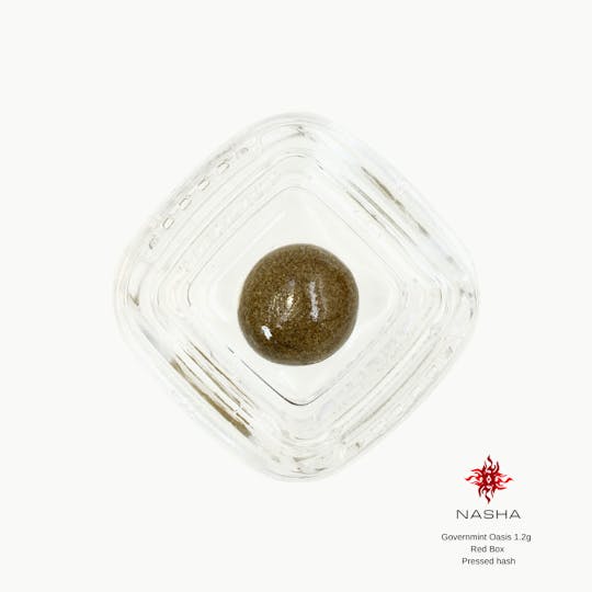 NASHA - GovernMint Oasis 1.2g Red Pressed Hash (Bandwagon Gardens) - 1