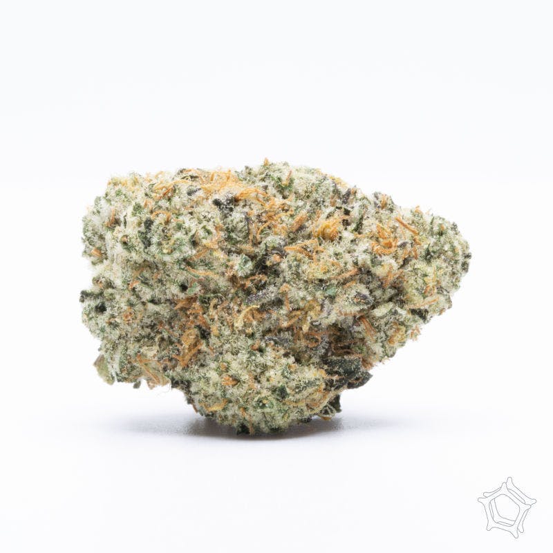 Garlic Snake Breath Buds 4g Nitro Packed Can LightSky Farms