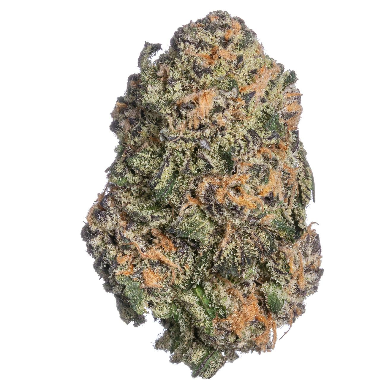 Meraki Gardens - Meraki Gardens | Bittersweet | Flower - 1