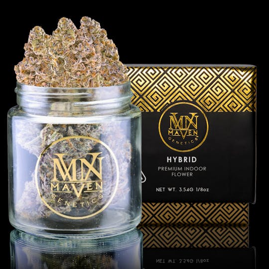 Maven Genetics - Kiwi Sorbet - 1