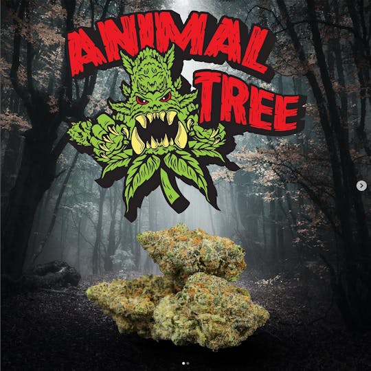 Redeye Cannabis - Redeye Cannabis: Animal Tree 7gram nuggets - 1
