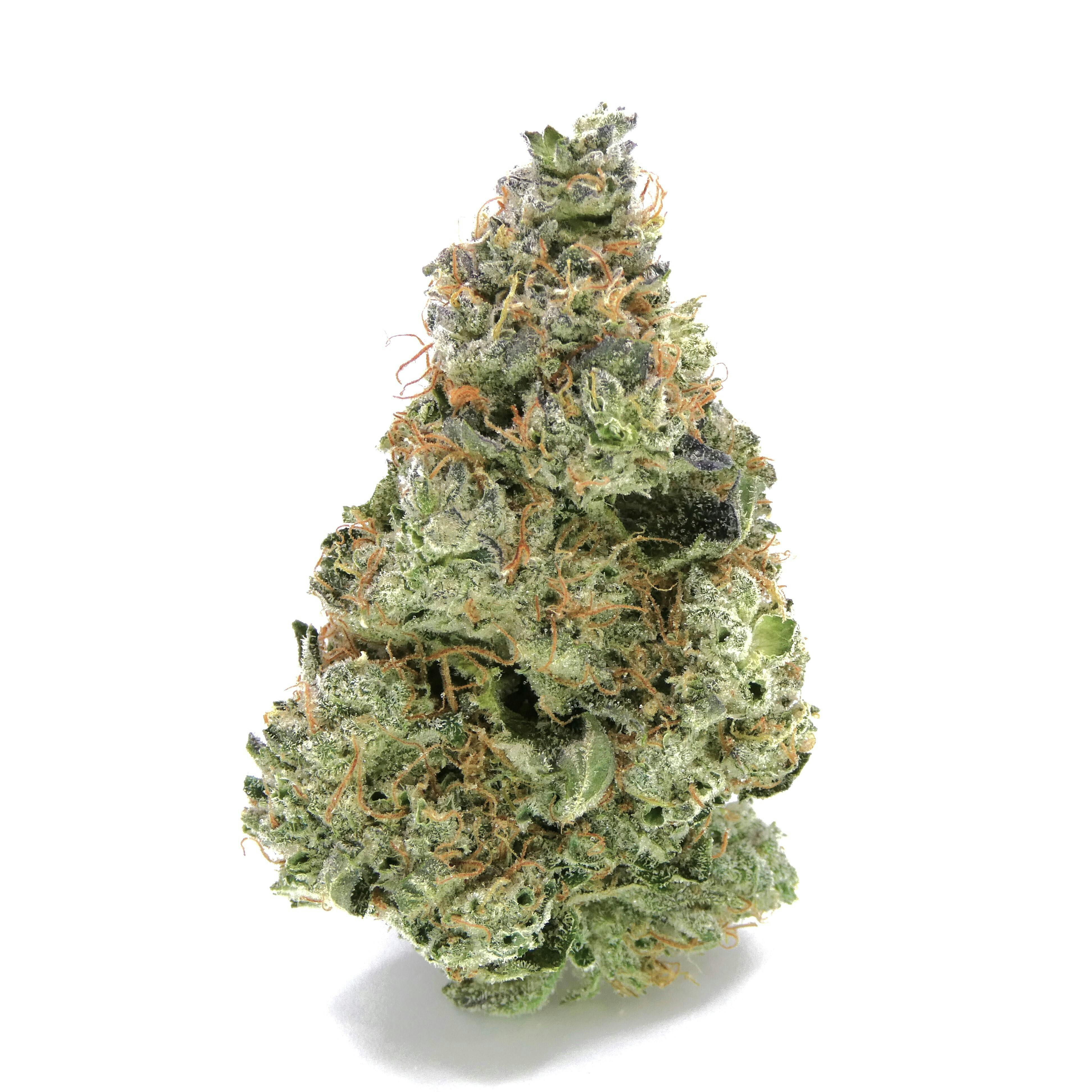 Avitas - GMO Cookies Buds - 1