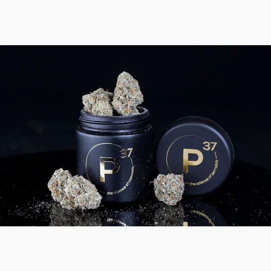 P37 - P37 | Bluntz | Big Buds - 1