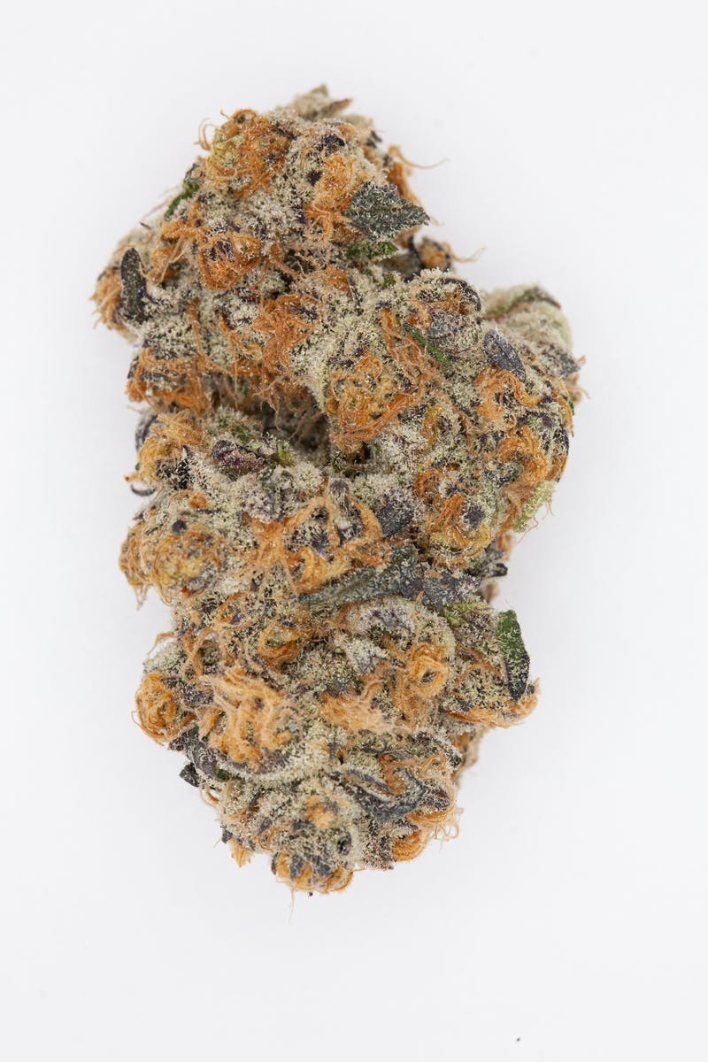 P37 - P37 | Cement Shoes | Big Buds - 1