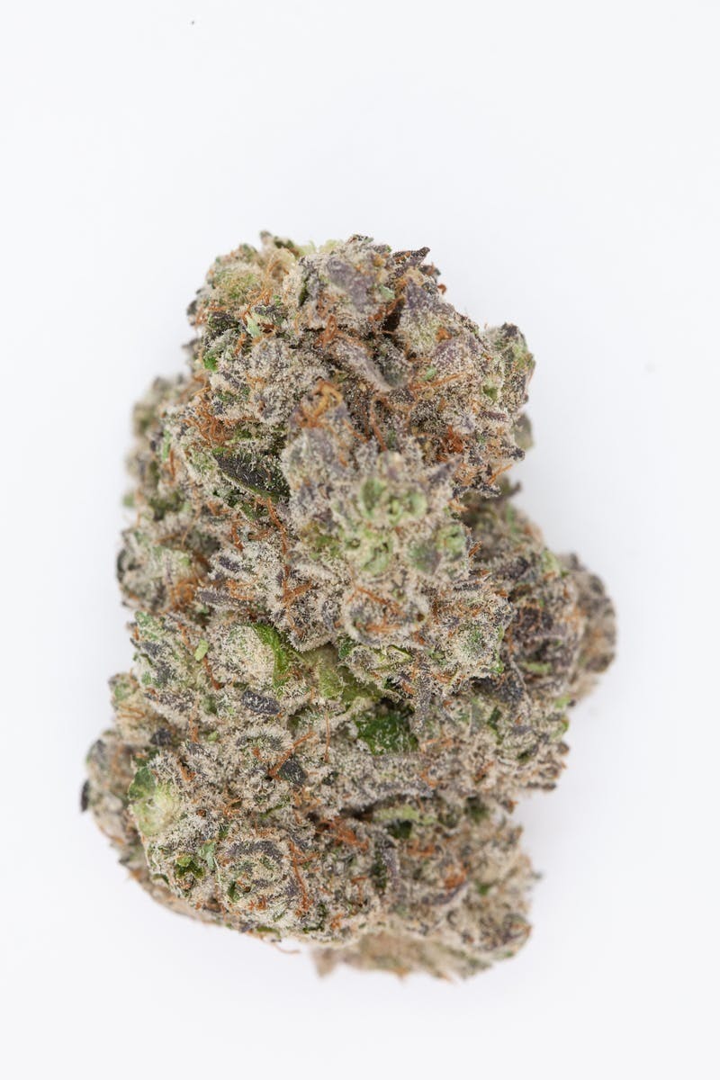 P37 - P37 | Cluster Bomb | Big Buds - 1