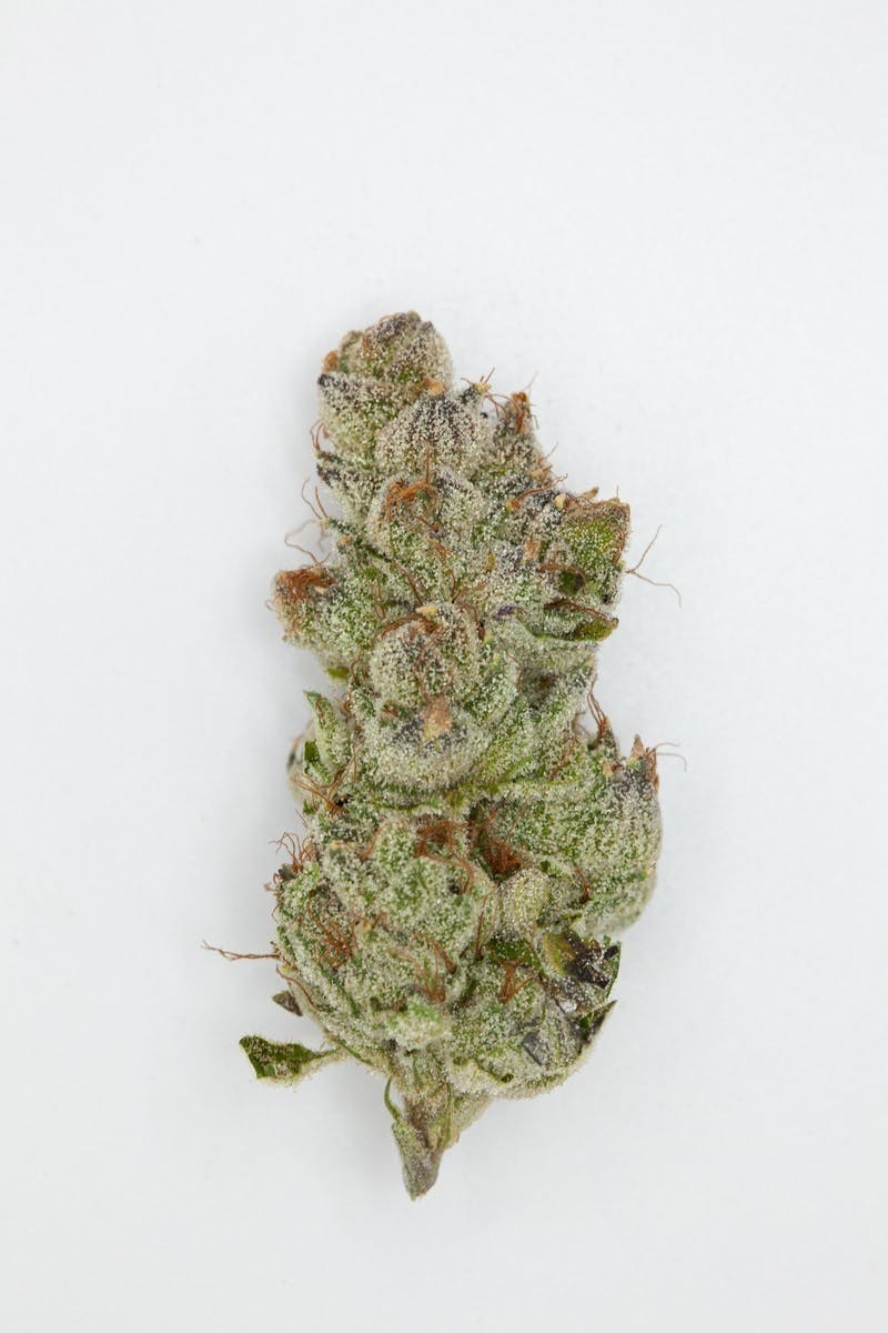 P37 - P37 | Cotton Candy | Big Buds - 1