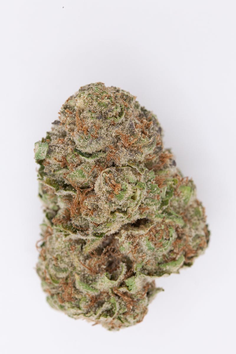 P37 - P37 | Dark Rainbow | Big Buds - 1